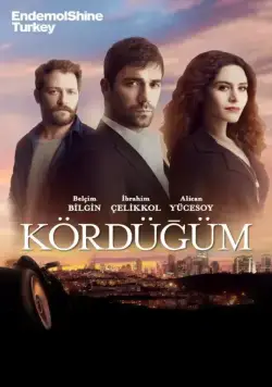 Постер: Узел / Kördügüm (2016)