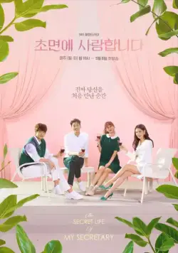 Постер: Люблю тебя с первого взгляда / Chomyeone saranghamnida (2019)