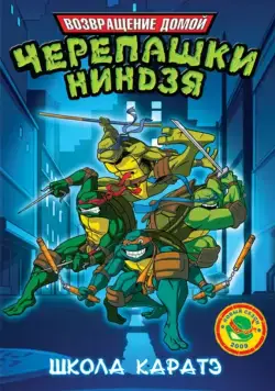 Постер: Мутанты черепашки ниндзя. Новые приключения! / Teenage Mutant Ninja Turtles (2003)