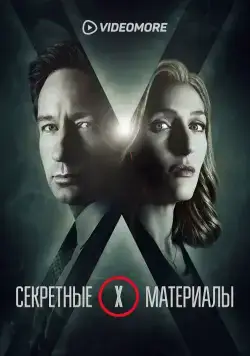 Постер: Секретные материалы (2015)