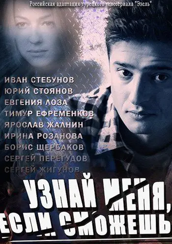 Постер: Узнай меня, если сможешь (2014)