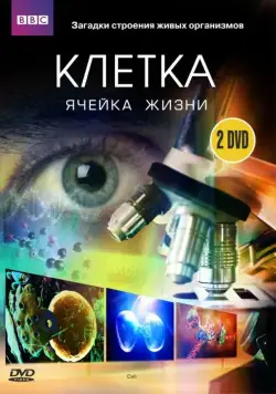 Постер: BBC: Клетка / The Cell (2009)