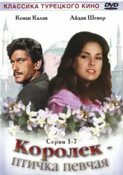 Постер: Королёк – птичка певчая / Çalıkuşu (1986)