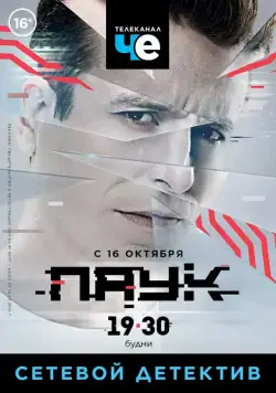 Постер: Паук (2017)