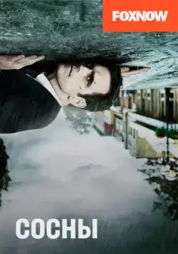 Постер: Сосны / Wayward Pines (2015)