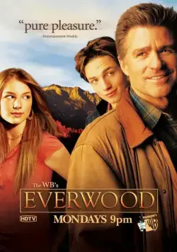 Постер: Любовь вдовца / Everwood (2002)