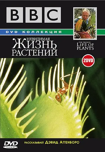 Постер: BBC: Невидимая жизнь растений / The Private Life of Plants (1995)