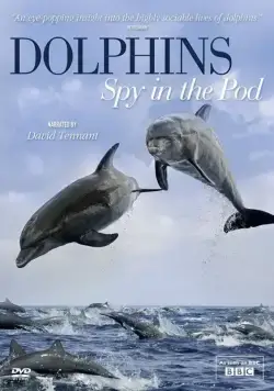 Постер: Дельфины скрытой камерой / Dolphins: Spy in the Pod (2014)