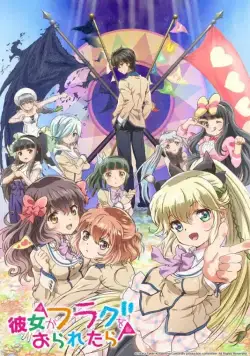 Постер: Если бы я сломал её флаг (2014)