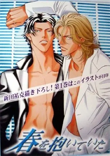 Постер: В своих ладонях он держал весну / Haru wo Daite Ita (2005)