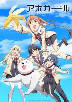 Постер: Дурочка / Aho Girl (2017)