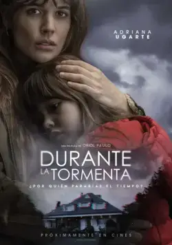 Постер: Во время грозы / Durante la tormenta (2018)