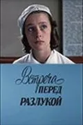 Постер: Встреча перед разлукой (1985)