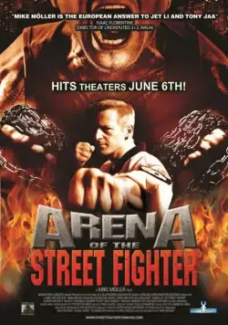 Постер: Уличный боец / Arena of the Street Fighter (2013)