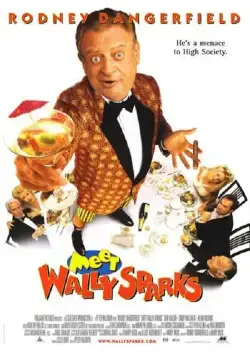 Постер: Познакомьтесь с Уолли Спарксом / Meet Wally Sparks (1996)
