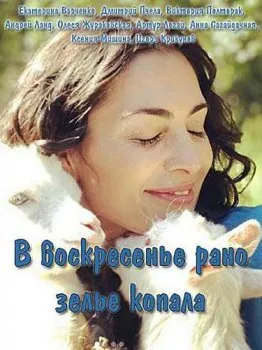 Постер: Цыганка (2019)