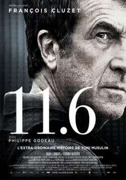 Постер: 11.6 / 11.6 (2013)