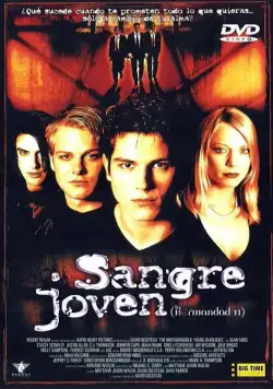 Постер: Чернокнижник: Новое поколение / The Brotherhood 2: Young Warlocks (2001)