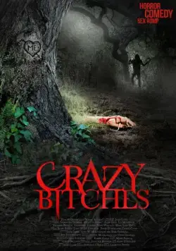 Постер: Сумасшедшие суки / Crazy Bitches (2014)