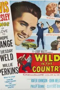 Постер: Одиночка / Wild in the Country (1961)