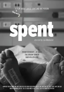 Постер: Удачно потраченные деньги / Spent (2017)