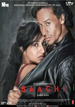 Постер: Бунтарь / Baaghi (2016)