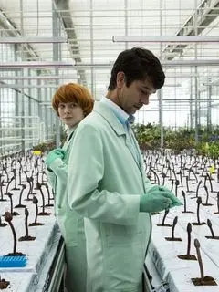 Постер: Малыш Джо / Little Joe (2019)