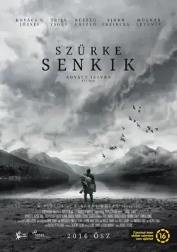 Постер: Серые посланцы / Szürke senkik (2016)