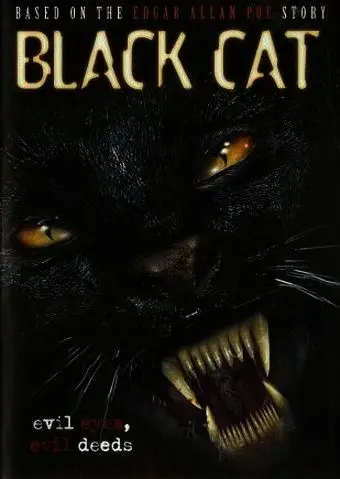 Постер: Черная кошка / Black Cat (2004)