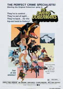 Постер: Отважные доберманы / The Daring Dobermans (1973)