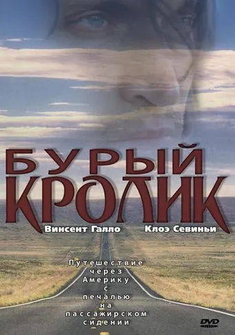 Постер: Бурый кролик / The Brown Bunny (2003)