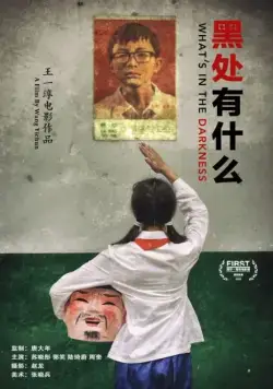 Постер: Что скрывает тьма / Hei chu you she me (2015)