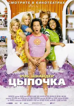 Постер: Цыпочка / The Hot Chick (2002)