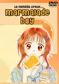 Постер: Мальчик-мармелад / Mamaredo boi (1994)
