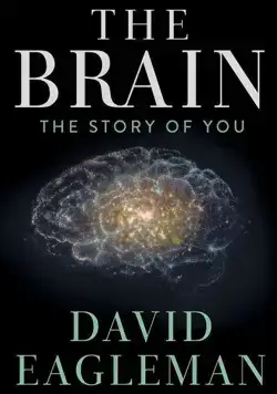Постер: Мозг с Дэвидом Иглменом / The Brain with Dr. David Eagleman (2015)
