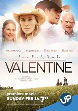 Постер: Любовь найдёт тебя в Валентайне / Love Finds You in Valentine (2016)