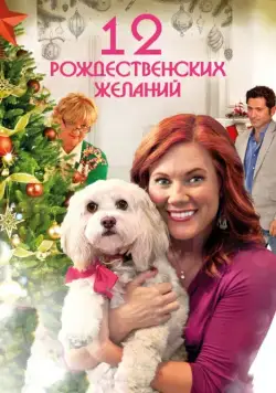 Постер: 12 Рождественских желаний / The Twelve Wishes of Christmas (2011)