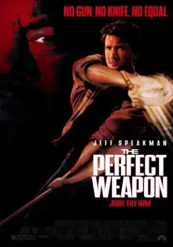 Постер: Совершенное оружие / The Perfect Weapon (1991)