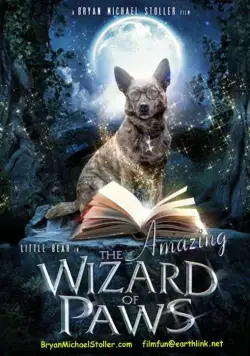Постер: Удивительный волшебник из Лапы / The Amazing Wizard of Paws (2015)