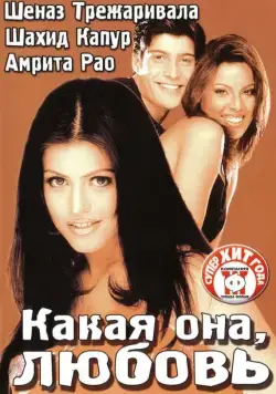 Постер: Какая она, любовь / Ishq Vishk (2003)