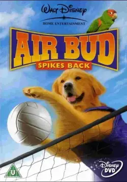 Постер: Король воздуха: Возвращение / Air Bud: Spikes Back (2003)
