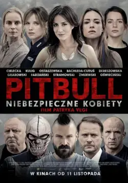 Постер: Питбуль. Опасные женщины / Pitbull. Niebezpieczne kobiety (2016)