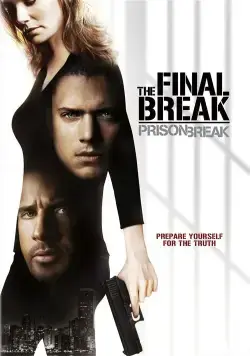 Постер: Побег из тюрьмы: Финальный побег / Prison Break: The Final Break (2009)