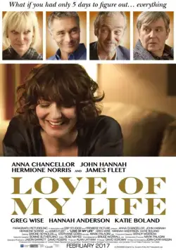 Постер: Любовь всей моей жизни / Love of My Life (2017)