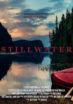 Постер: Тихие воды / Stillwater (2018)