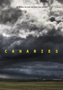 Постер: Канарейки / Canaries (2017)