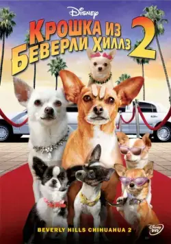 Постер: Крошка из Беверли-Хиллз 2 / Beverly Hills Chihuahua 2 (2010)