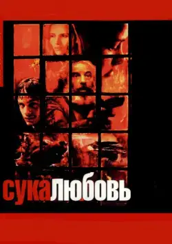 Постер: Сука-любовь / Amores perros (2000)