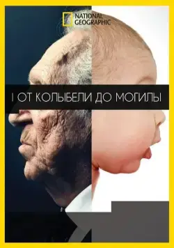 Постер: От колыбели до могилы / Cradle to Grave (2017)