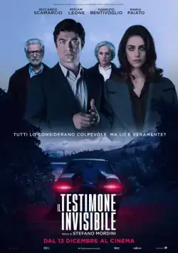 Постер: Невидимый свидетель / Il testimone invisibile (2018)